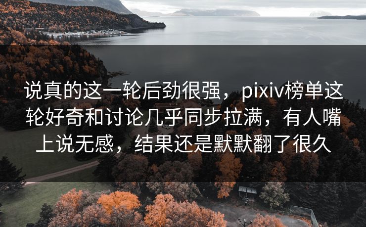说真的这一轮后劲很强，pixiv榜单这轮好奇和讨论几乎同步拉满，有人嘴上说无感，结果还是默默翻了很久