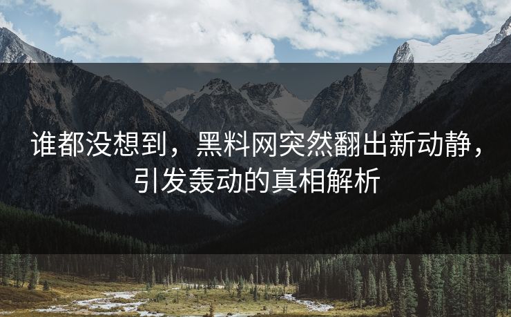 谁都没想到，黑料网突然翻出新动静，引发轰动的真相解析