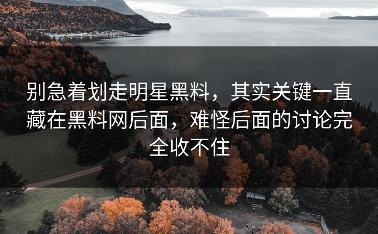 别急着划走明星黑料，其实关键一直藏在黑料网后面，难怪后面的讨论完全收不住