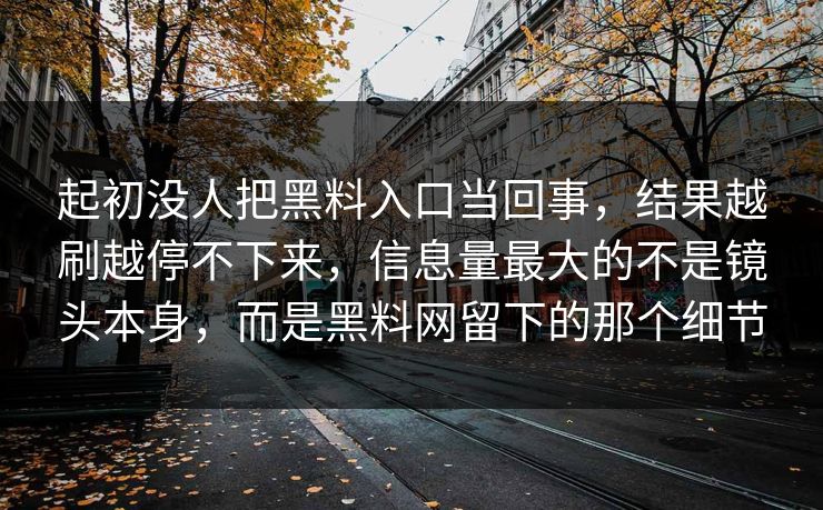 起初没人把黑料入口当回事，结果越刷越停不下来，信息量最大的不是镜头本身，而是黑料网留下的那个细节