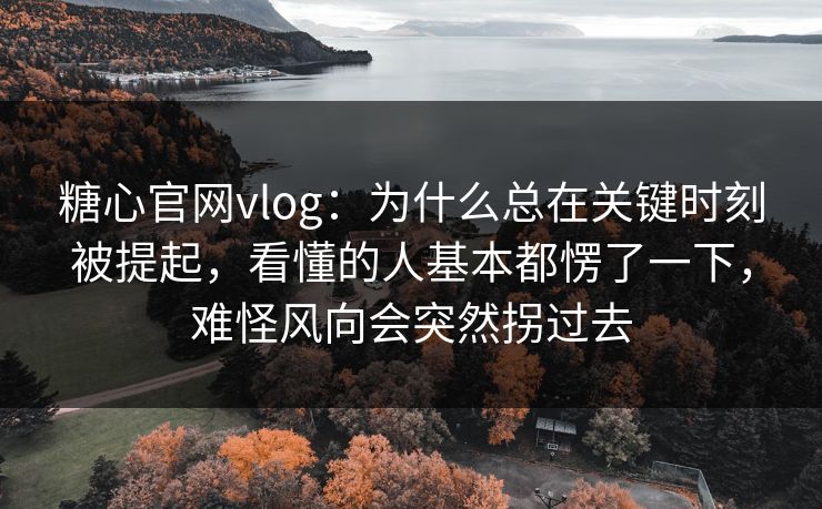 糖心官网vlog：为什么总在关键时刻被提起，看懂的人基本都愣了一下，难怪风向会突然拐过去