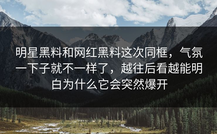 明星黑料和网红黑料这次同框，气氛一下子就不一样了，越往后看越能明白为什么它会突然爆开