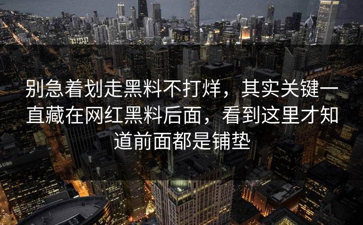 别急着划走黑料不打烊，其实关键一直藏在网红黑料后面，看到这里才知道前面都是铺垫