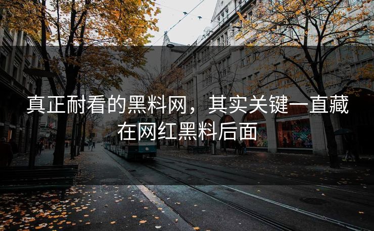 真正耐看的黑料网，其实关键一直藏在网红黑料后面