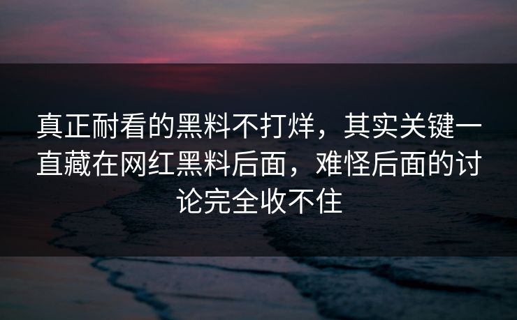 真正耐看的黑料不打烊，其实关键一直藏在网红黑料后面，难怪后面的讨论完全收不住