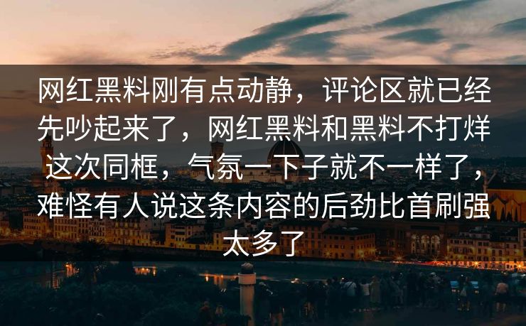 网红黑料刚有点动静，评论区就已经先吵起来了，网红黑料和黑料不打烊这次同框，气氛一下子就不一样了，难怪有人说这条内容的后劲比首刷强太多了