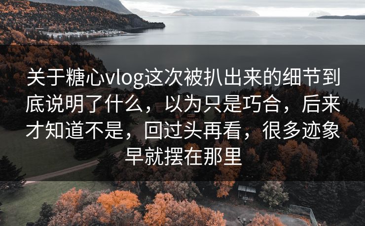 关于糖心vlog这次被扒出来的细节到底说明了什么，以为只是巧合，后来才知道不是，回过头再看，很多迹象早就摆在那里