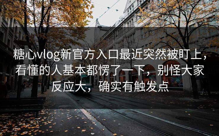 糖心vlog新官方入口最近突然被盯上，看懂的人基本都愣了一下，别怪大家反应大，确实有触发点