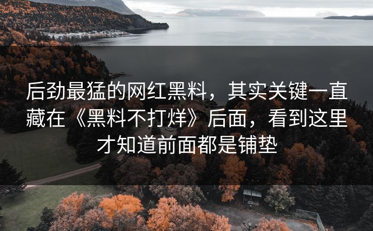 后劲最猛的网红黑料，其实关键一直藏在《黑料不打烊》后面，看到这里才知道前面都是铺垫