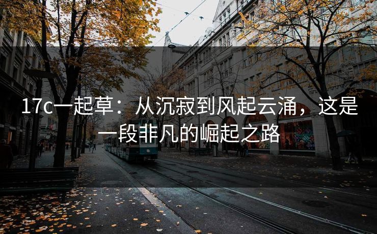 <strong>17C</strong>一起草：从沉寂到风起云涌，这是一段非凡的崛起之路