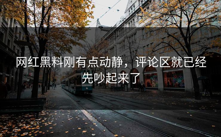 网红黑料刚有点动静，评论区就已经先吵起来了