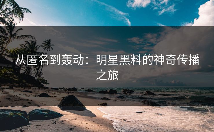 从匿名到轰动：明星黑料的神奇传播之旅